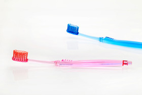 ���N������������{�͔��F�ł�