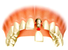 ���N������������{�͔��F�ł�